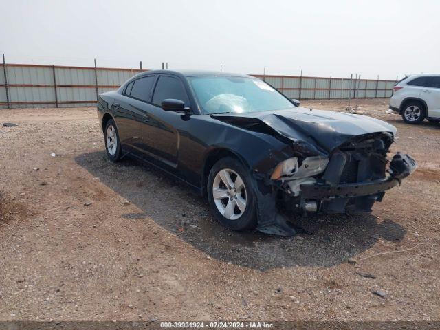  Salvage Dodge Charger