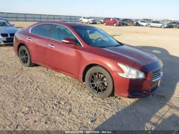  Salvage Nissan Maxima