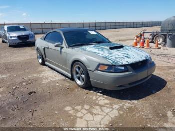  Salvage Ford Mustang