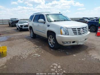  Salvage Cadillac Escalade