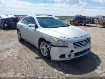  Salvage Nissan Maxima