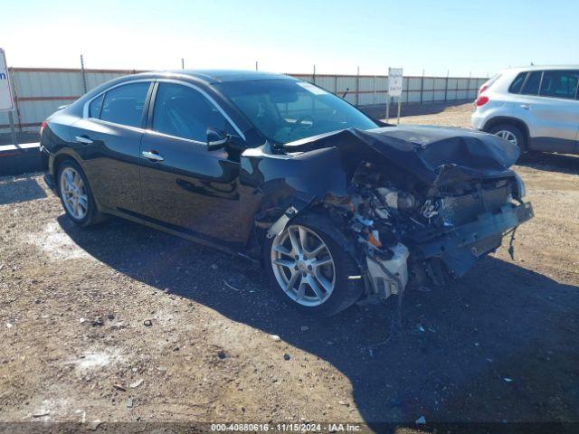  Salvage Nissan Maxima