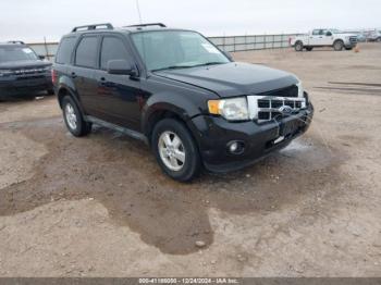  Salvage Ford Escape