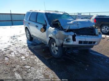  Salvage Ford Escape