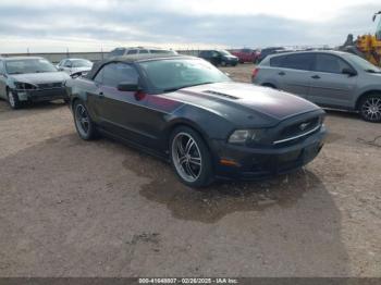  Salvage Ford Mustang