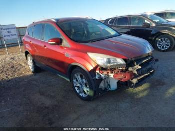  Salvage Ford Escape