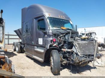  Salvage Freightliner New Cascadia 126