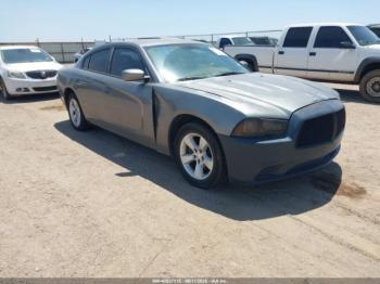 Salvage Dodge Charger