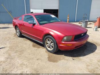  Salvage Ford Mustang