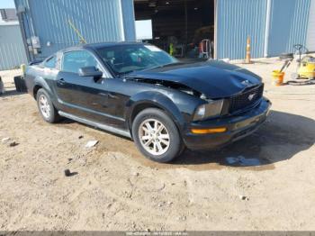  Salvage Ford Mustang