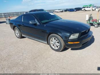  Salvage Ford Mustang