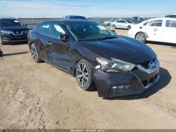  Salvage Nissan Maxima