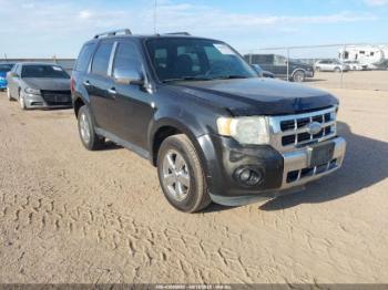  Salvage Ford Escape