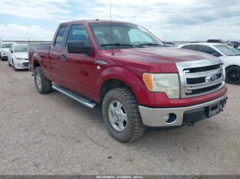  Salvage Ford F-150