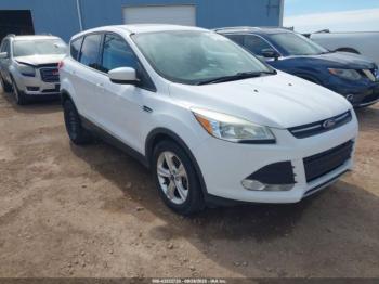  Salvage Ford Escape