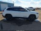 Jeep Cherokee Altitude Lux 4x4 Image 11