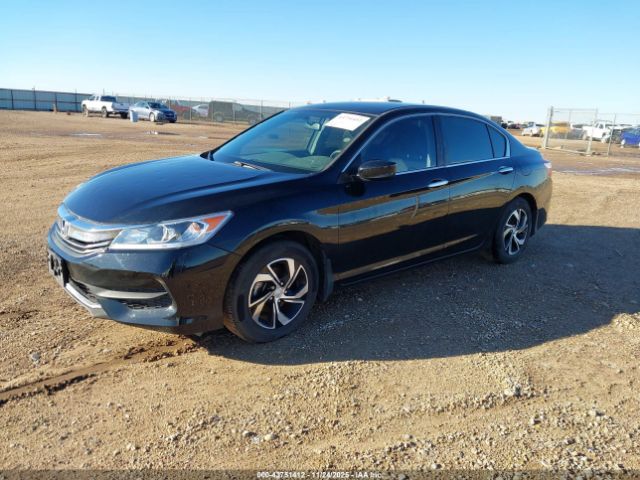 Honda Accord Lx Image 12