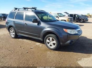  Salvage Subaru Forester