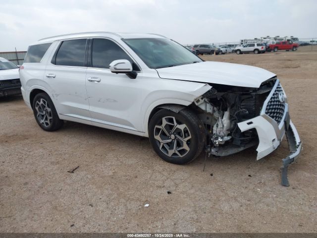 Hyundai PALISADE Calligraphy Image 1