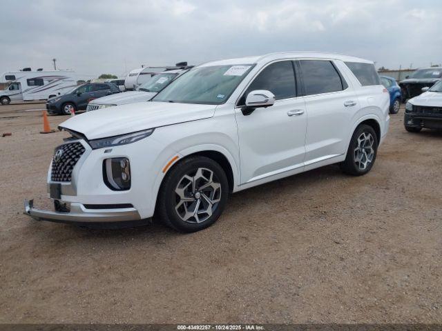 Hyundai PALISADE Calligraphy Image 13