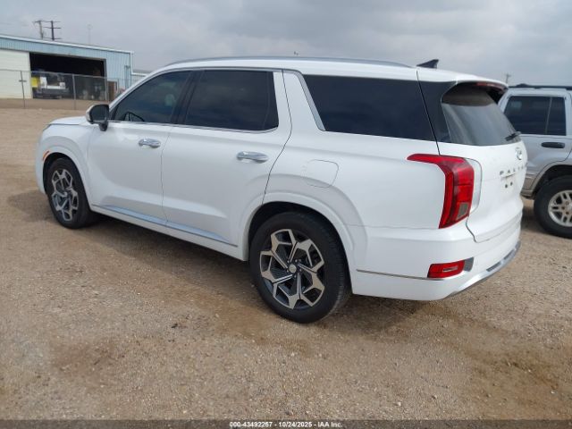 Hyundai PALISADE Calligraphy Image 14