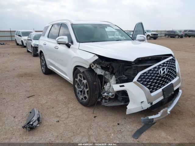 Hyundai PALISADE Calligraphy Image 12