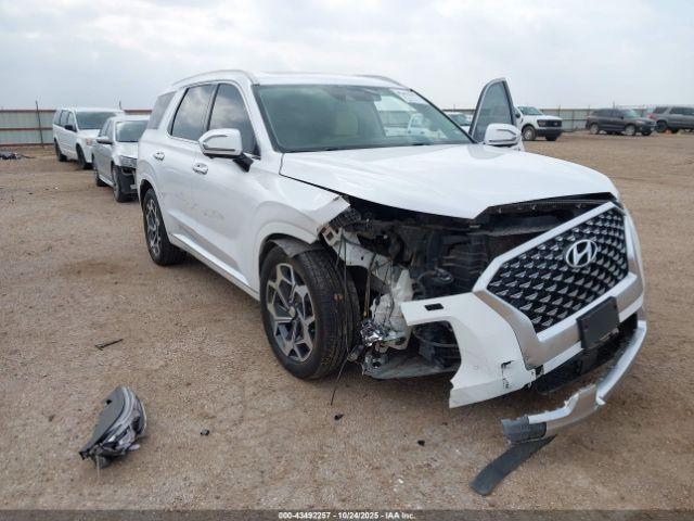 Hyundai PALISADE Calligraphy Image 12