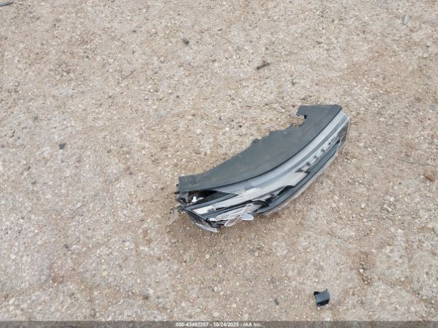 Hyundai PALISADE Calligraphy Image 2