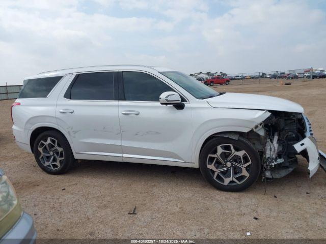 Hyundai PALISADE Calligraphy Image 4