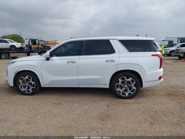 Hyundai PALISADE Calligraphy Image 5