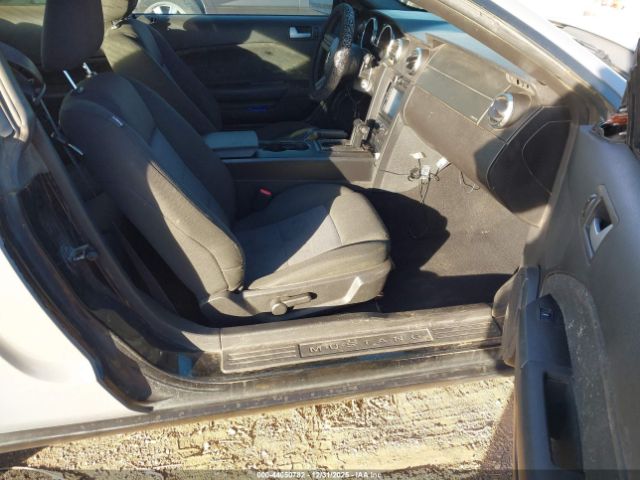 Ford Mustang Image 4