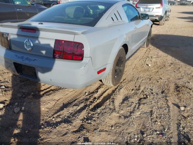 Ford Mustang Image 2