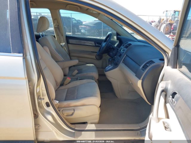 Honda CR-V Lx Image 5