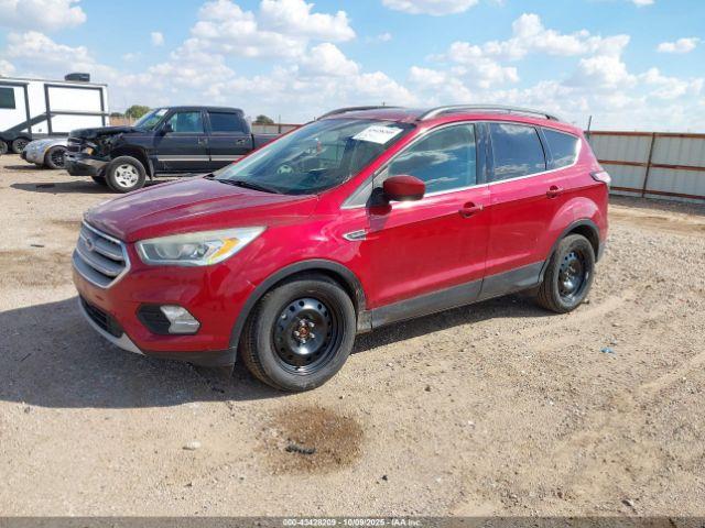 Ford Escape Sel Image 5