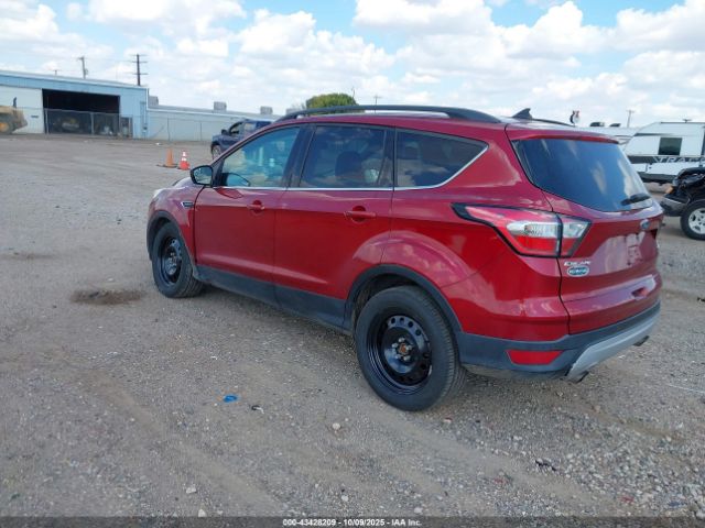 Ford Escape Sel Image 4