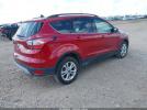 Ford Escape Sel Image 8